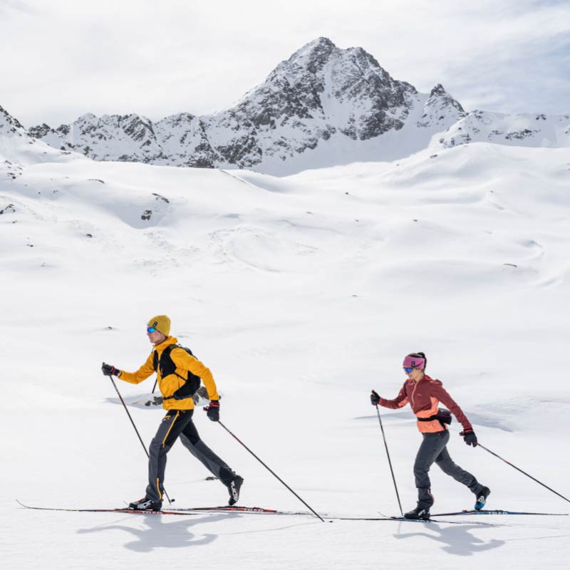 Duo Skin Skis