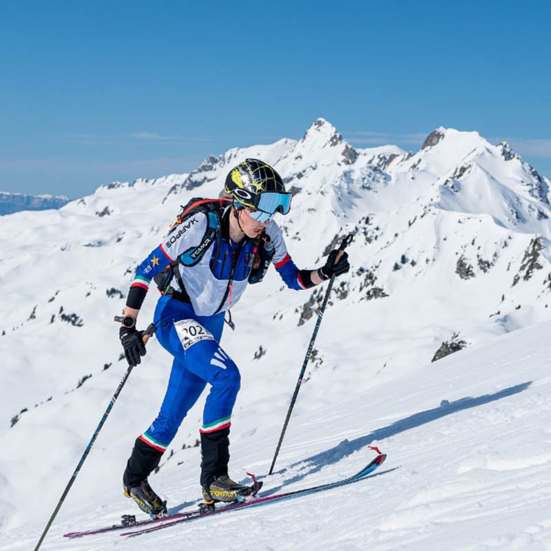 Race Skis