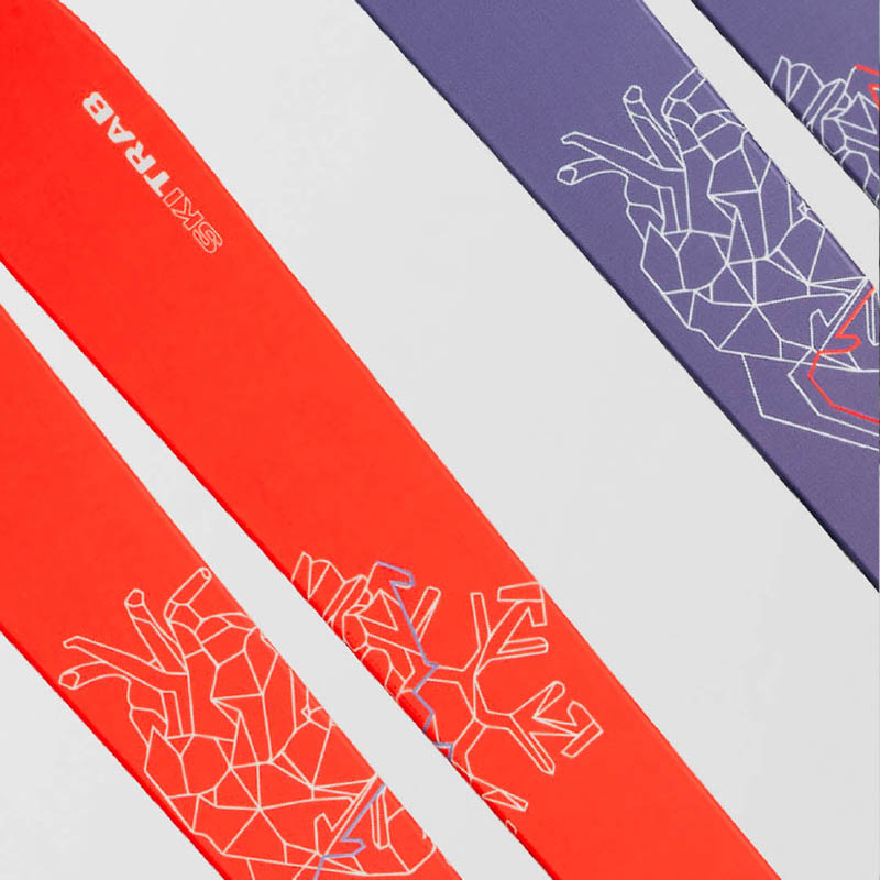 SKIS